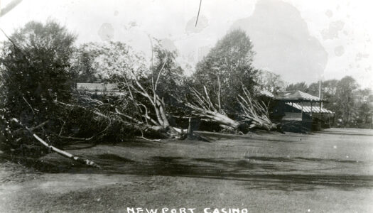 Massive Timber Salvage After the Great Hurricane of 1938