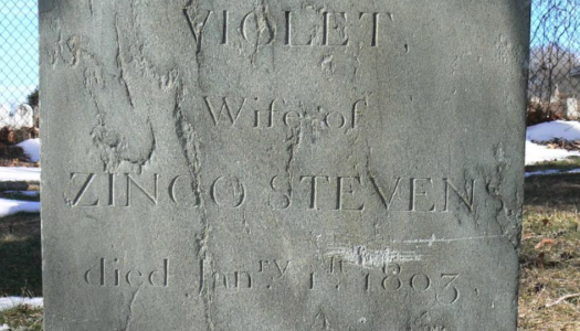 Job E. Townsend Coffin Accounts and Newport Town Council Records: Research of African American Ancestors