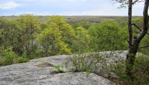 Pettaquamscutt Rock Commemorated, May 11, 1958