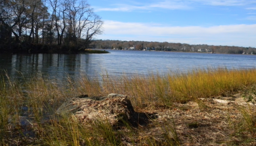 “Awoke This Day Destitute of Bread:” The Diary of Noah Robinson, a Massachusetts Militiaman in the American Revolution Serving in Rhode Island