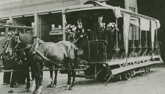 Horsecar Drivers & Customers