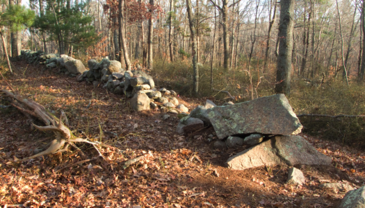 A Mystery at Canonchet: Who Built the Stone Piles in Hopkinton and Why?