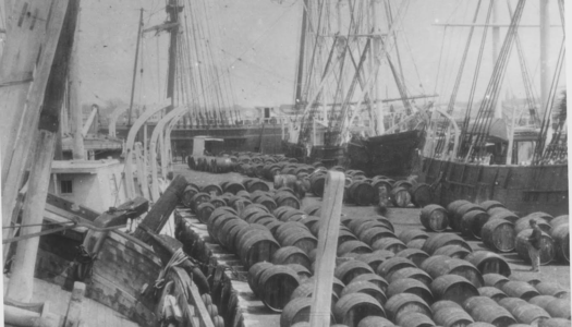 Rhode Island’s Whaling Industry, Once Led by Warren