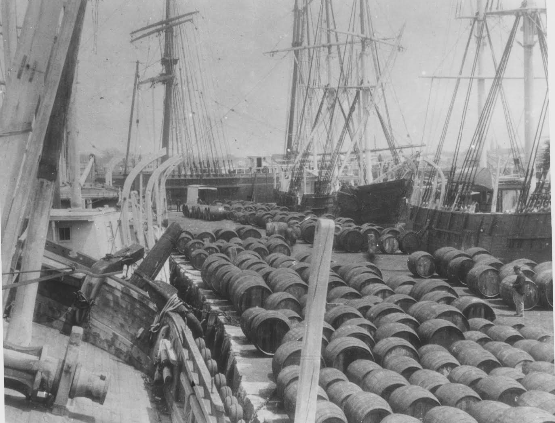The Earliest Picture of the Essex Disaster - Nantucket Historical  Association