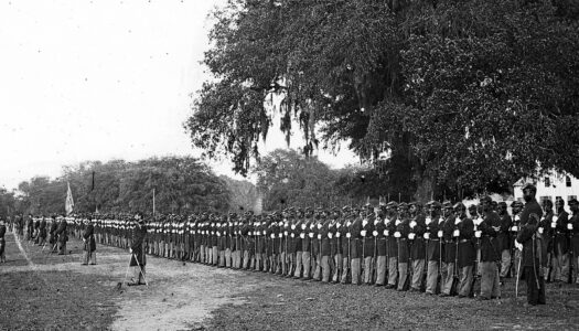 Two Indigenous Rhode Islanders and Their Service in the Twenty Ninth Connecticut Volunteers During the Civil War